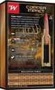 WINCHESTER AMMO COPPER IMPACT 30-06 180GR LF 20/10 2