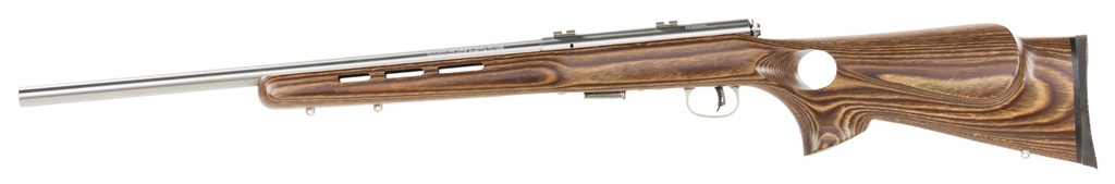 Savage Arms 93 BOLT 17HMR SS/LAM THBHL TH 2