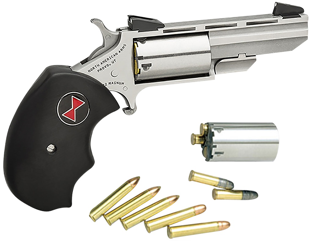 North American Arms 22M/22L CON 2" BLK WIDOW SS FS 1
