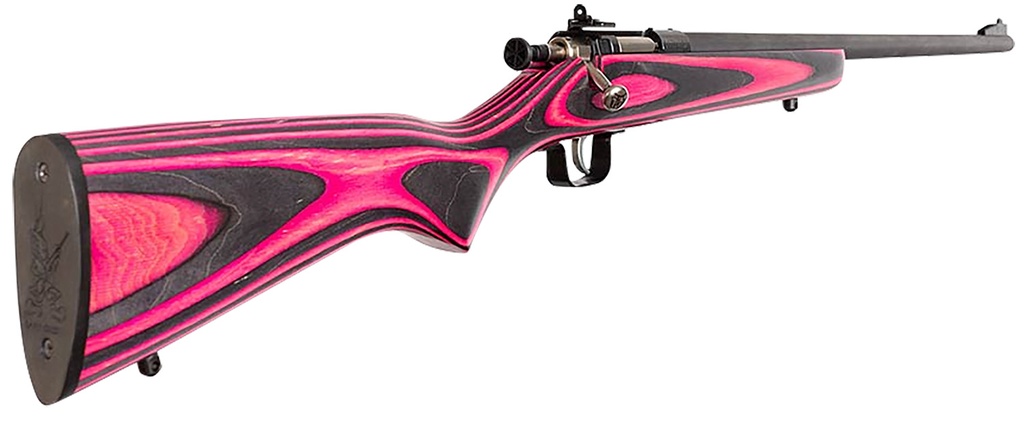Keystone Sporting Arms Crickett 2