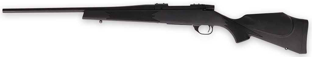 Weatherby VANGUARD S2 YOUTH 223REM SYN 2