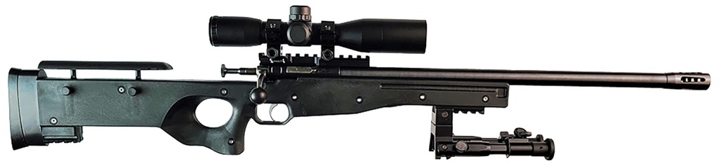 Keystone Sporting Arms Crickett Precision Rifle 1