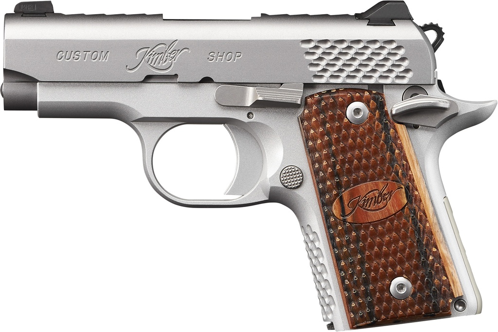 Kimber Micro 9 Stainless Raptor 2