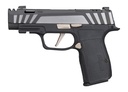 SIG SAUER P365 AXG Equinox 1