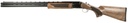 Pointer Pointer Acrius 2