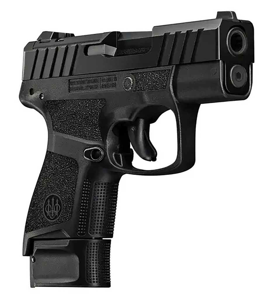 Beretta APX A1 Carry 2