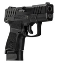 Beretta APX A1 Carry 2