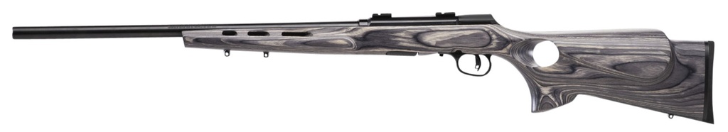Savage Arms A22 1