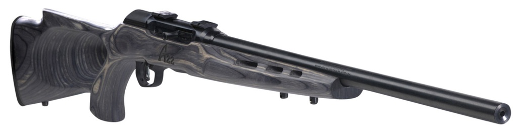 Savage Arms A22 2