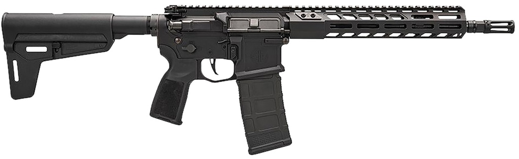 SIG SAUER M400 SDI Pistol 1