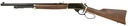 Henry Repeating Arms H10 Big Boy 2