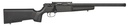 Savage Arms Rascal 1