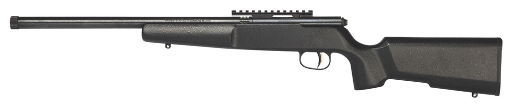 Savage Arms Rascal 2
