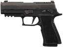 SIG SAUER P320 XTEN Carry Comp 1