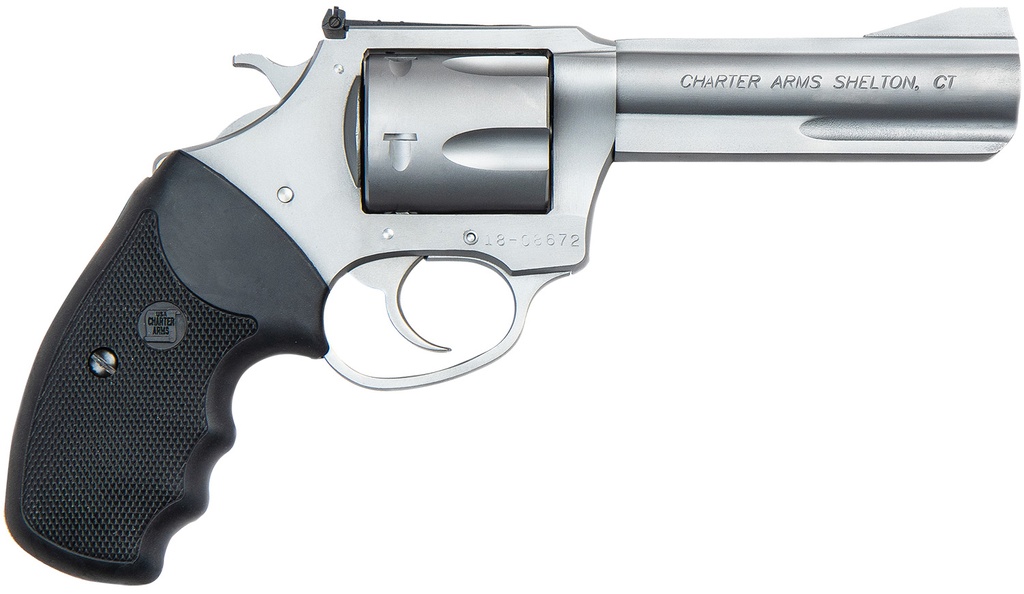 Charter Arms Target Mag Pug 1