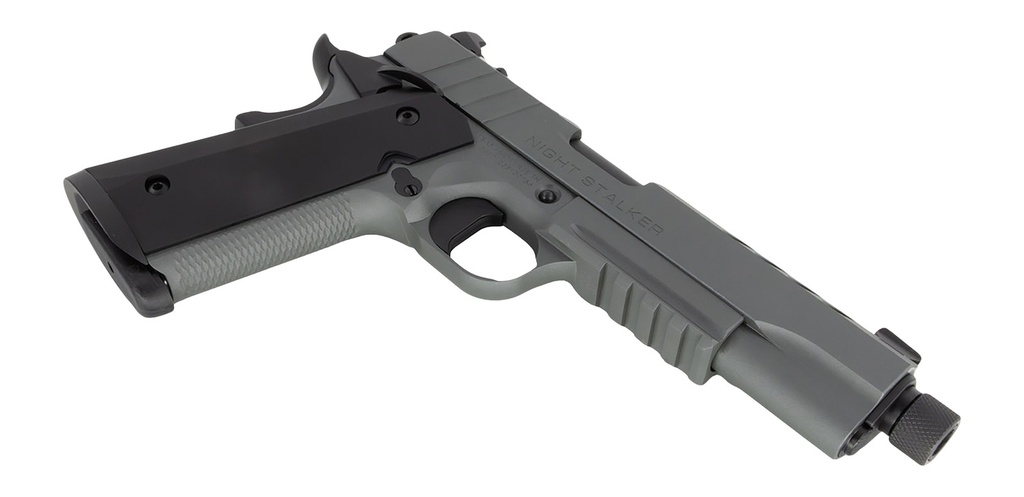 Tisas 1911 Night Stalker 3