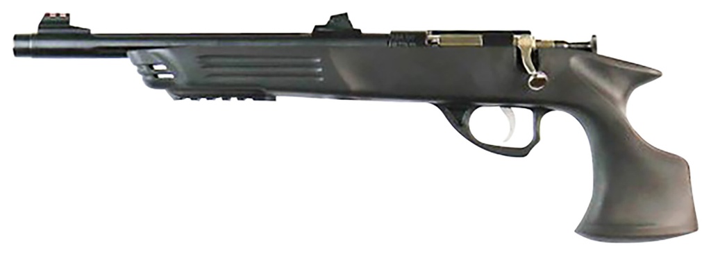 Keystone Sporting Arms Crickett Adult Pistol 1