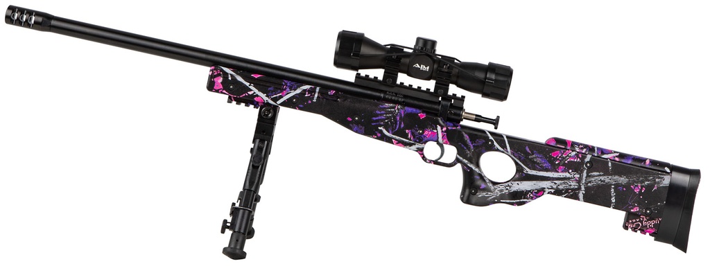 Keystone Sporting Arms Crickett Precision Rifle 2
