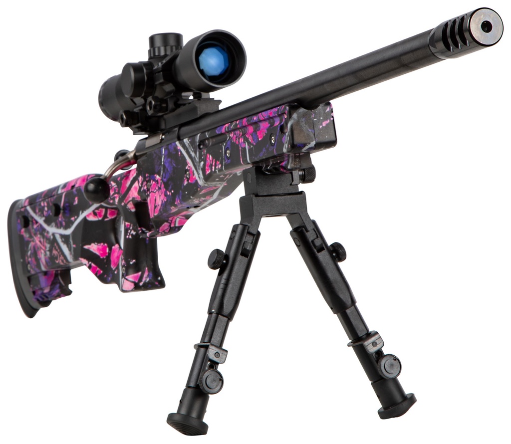Keystone Sporting Arms Crickett Precision Rifle 3