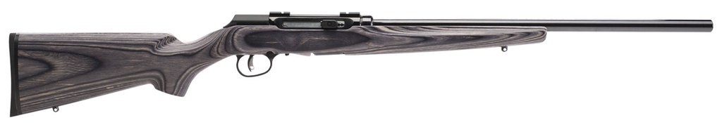 Savage Arms A17 Target 1