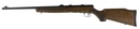 Savage Arms B17G 2