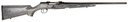 Savage Arms A17 Sporter 1