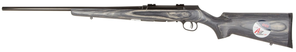 Savage Arms A17 Sporter 2