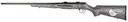 Savage Arms A17 Sporter 2