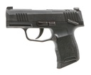 SIG SAUER P365X 1