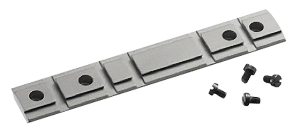 Ruger 10/22 Base 1