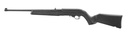 Ruger 10/22 Carbine 2