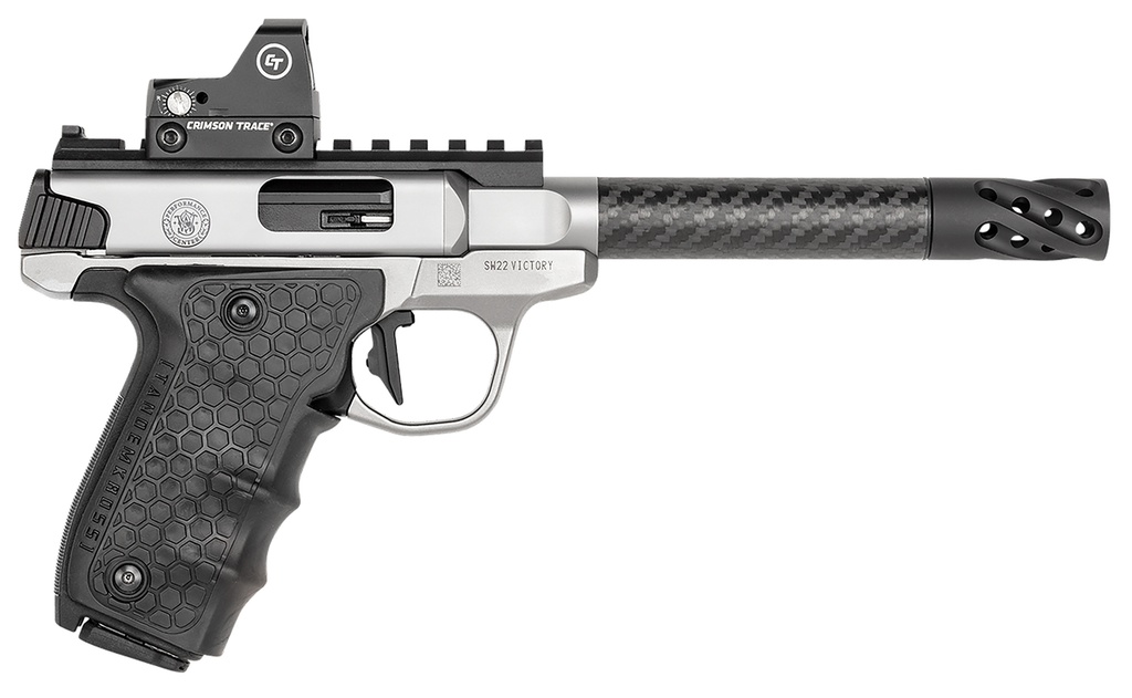 Smith and Wesson SW22 Victory Target 1