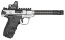 Smith and Wesson SW22 Victory Target 1
