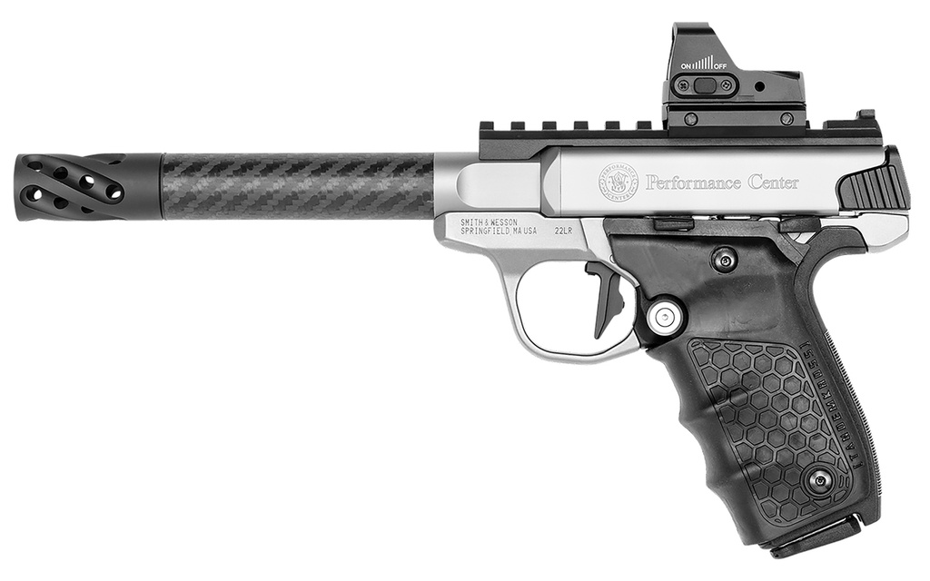 Smith and Wesson SW22 Victory Target 2