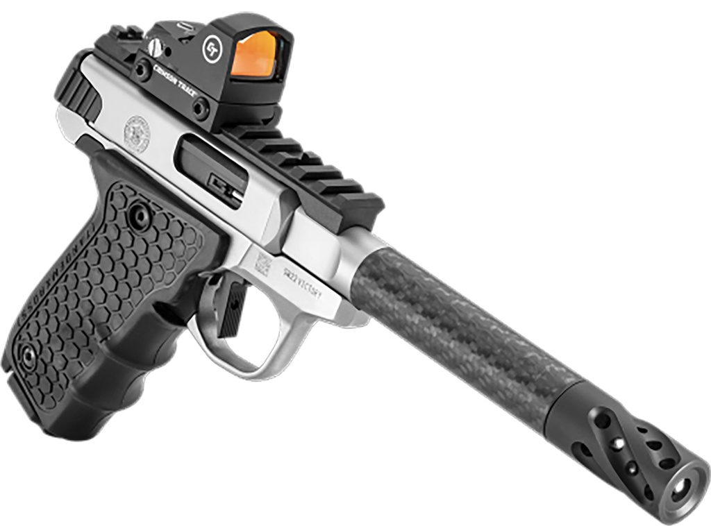 Smith and Wesson SW22 Victory Target 3