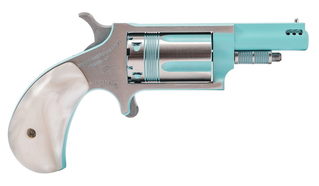 North American Arms Mini-Revolver 1