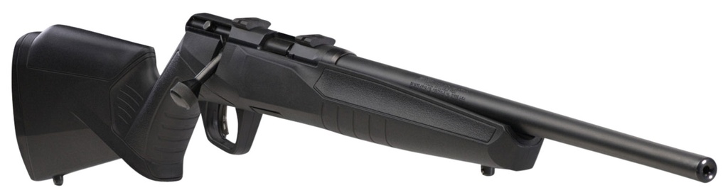 Savage Arms B17F Compact 3