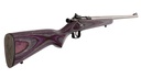 Keystone Sporting Arms Crickett 3