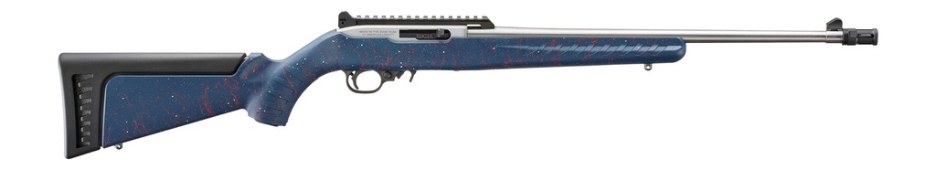 Ruger 10/22 Carbine 1