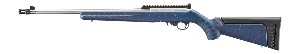Ruger 10/22 Carbine 2