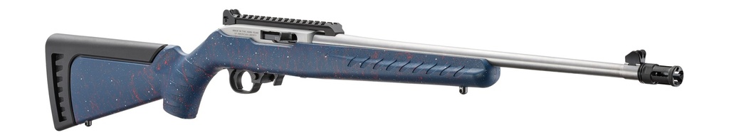 Ruger 10/22 Carbine 3