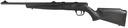 Savage Arms B22 Magnum F Compact 1