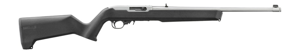 Ruger 10/22 Carbine 1