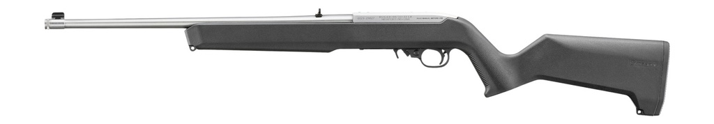 Ruger 10/22 Carbine 2