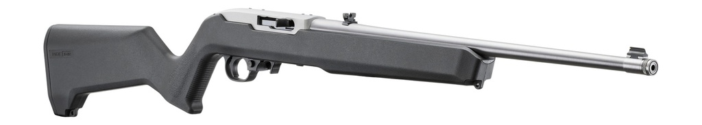 Ruger 10/22 Carbine 3