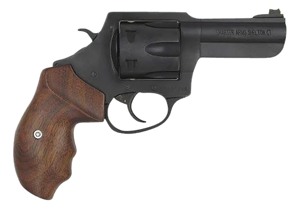 Charter Arms The PROFESSIONAL 1