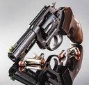 Charter Arms The PROFESSIONAL 2