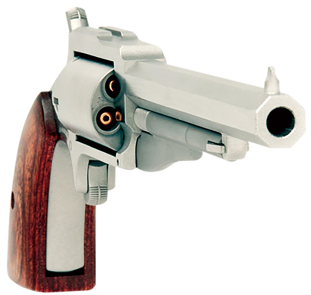 North American Arms The Earl 2