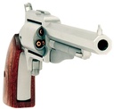 North American Arms The Earl 2