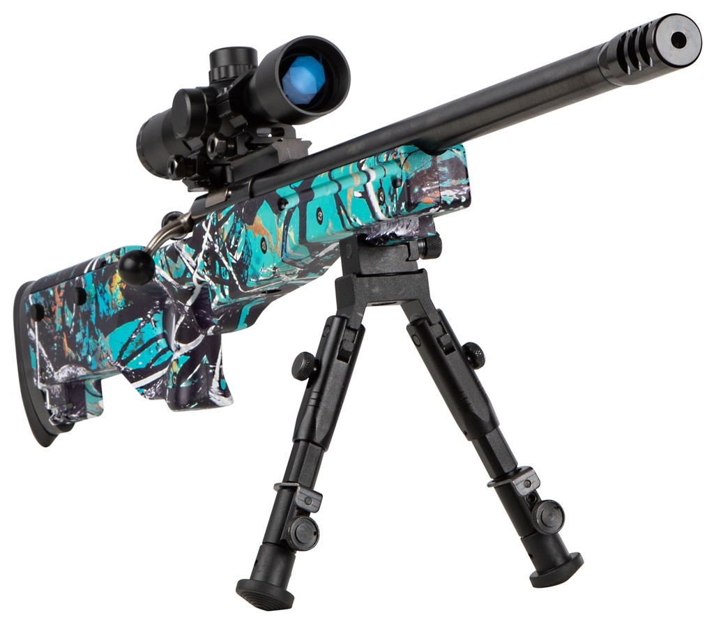 Keystone Sporting Arms Crickett Precision Rifle 3